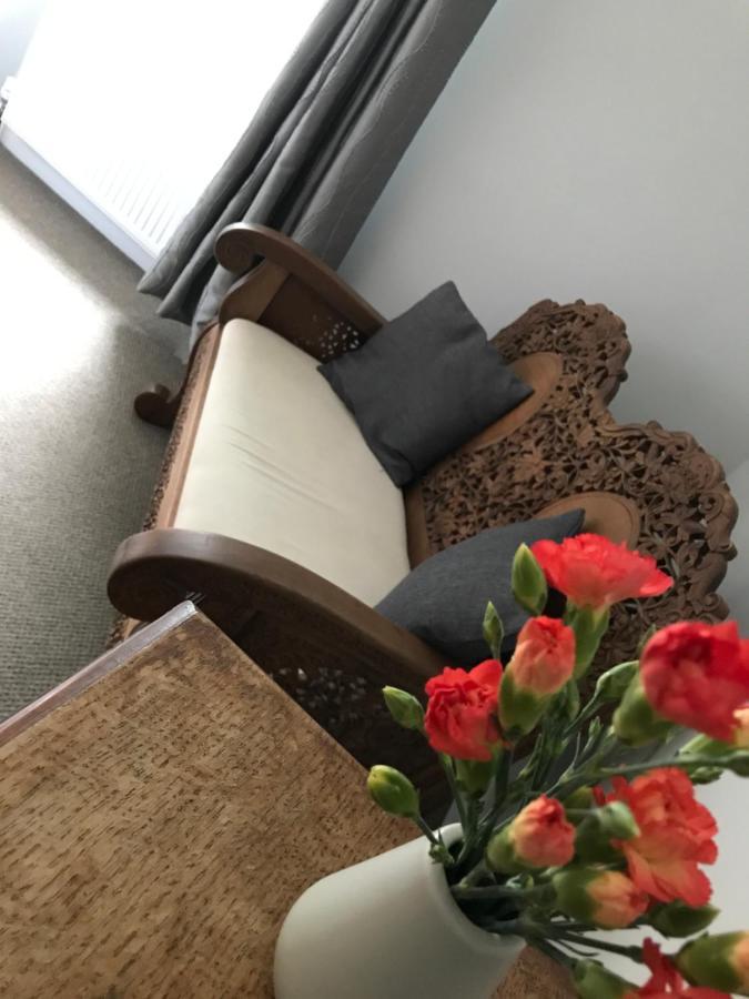 Selkies Nqy Otel New Quay Dış mekan fotoğraf